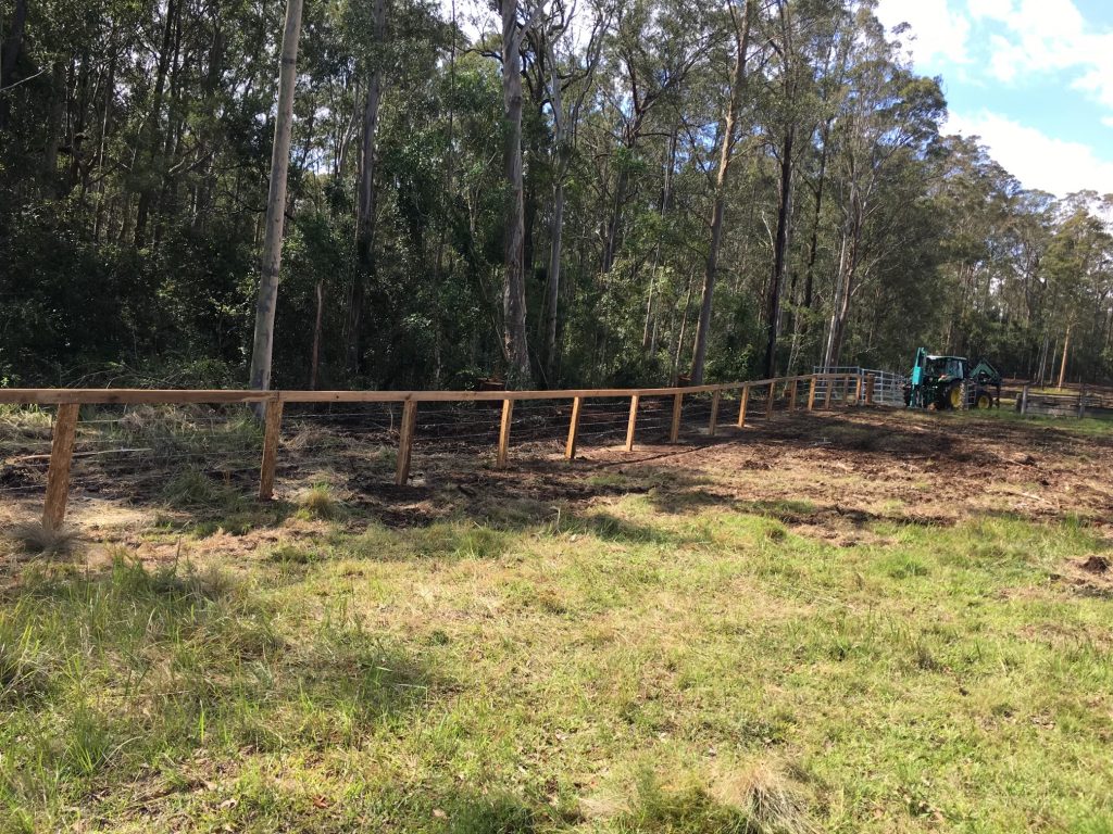 Timber fence with top rail