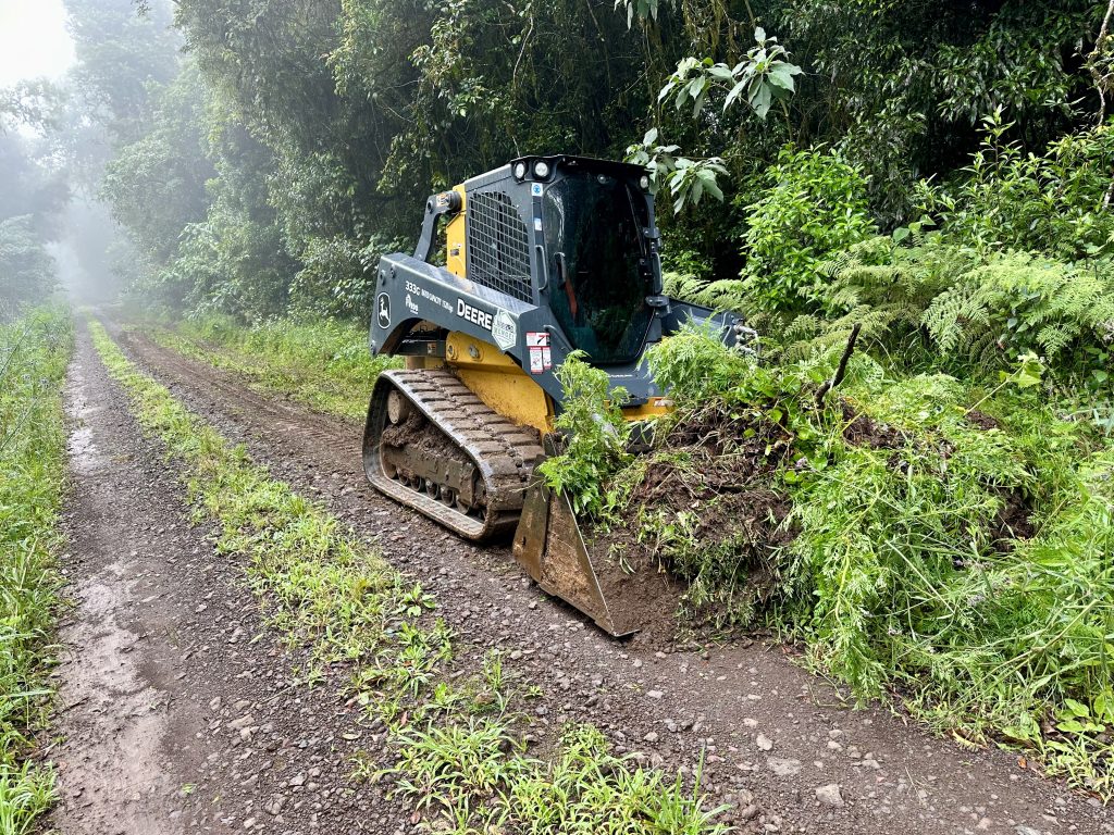 Track drainage