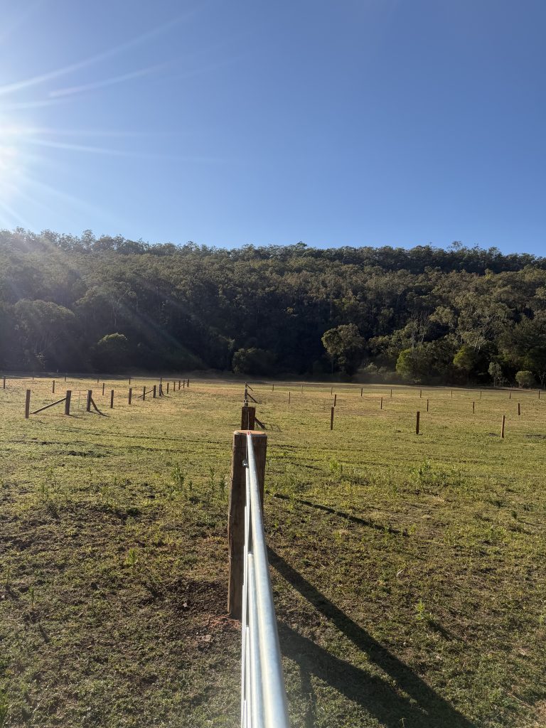 Rural fencing
