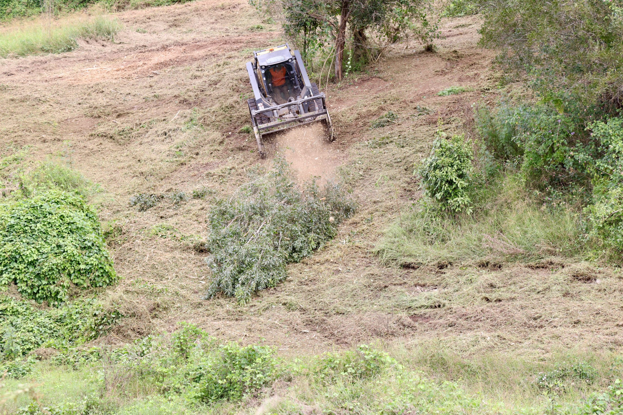Forestry Mulching