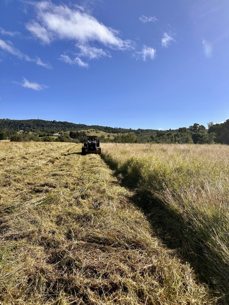 Slashing Acreage Paddock